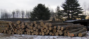 World Design Networks Header Image